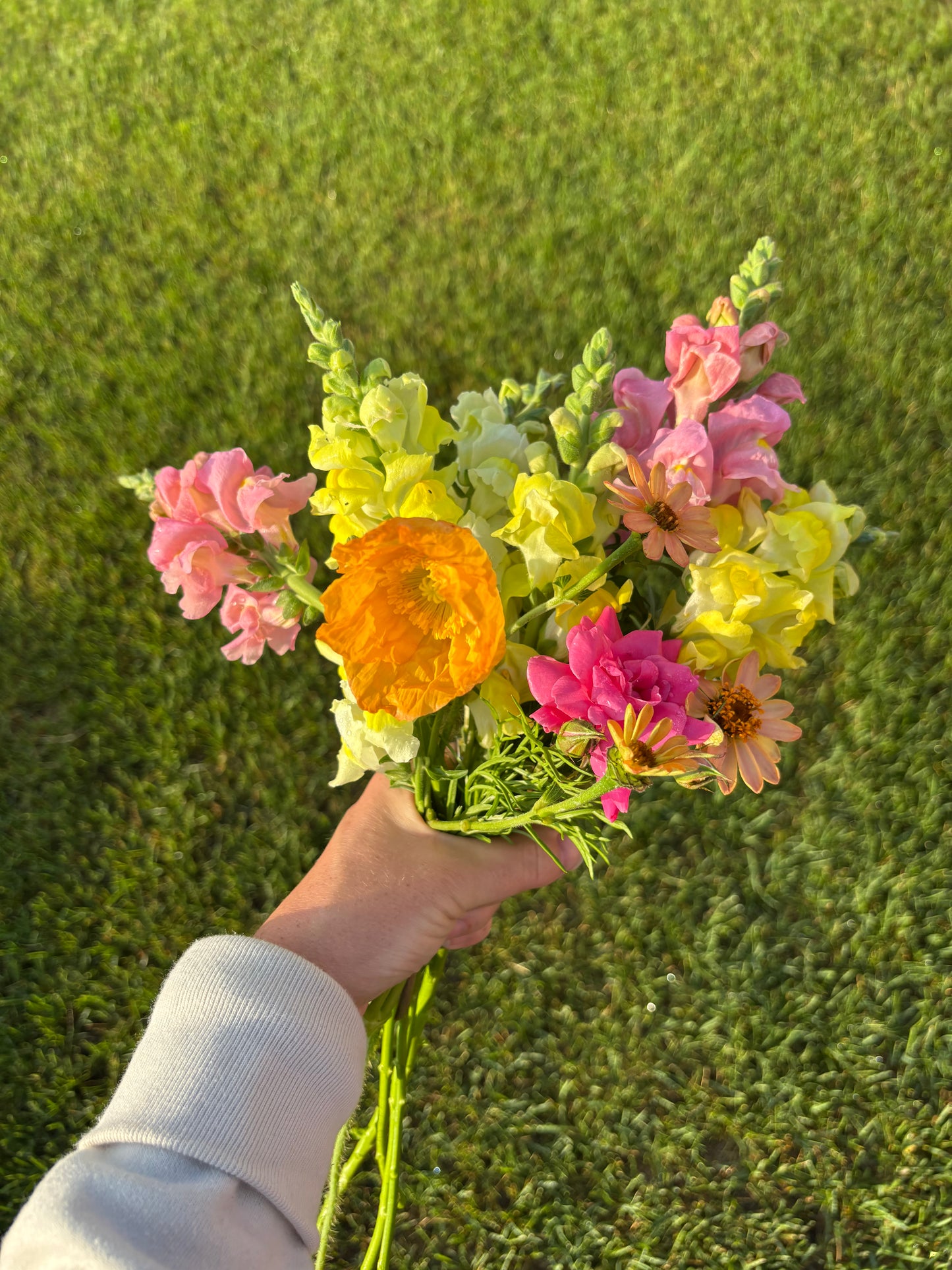 Hand holding a bouquet of colorful flowers against a grassy background