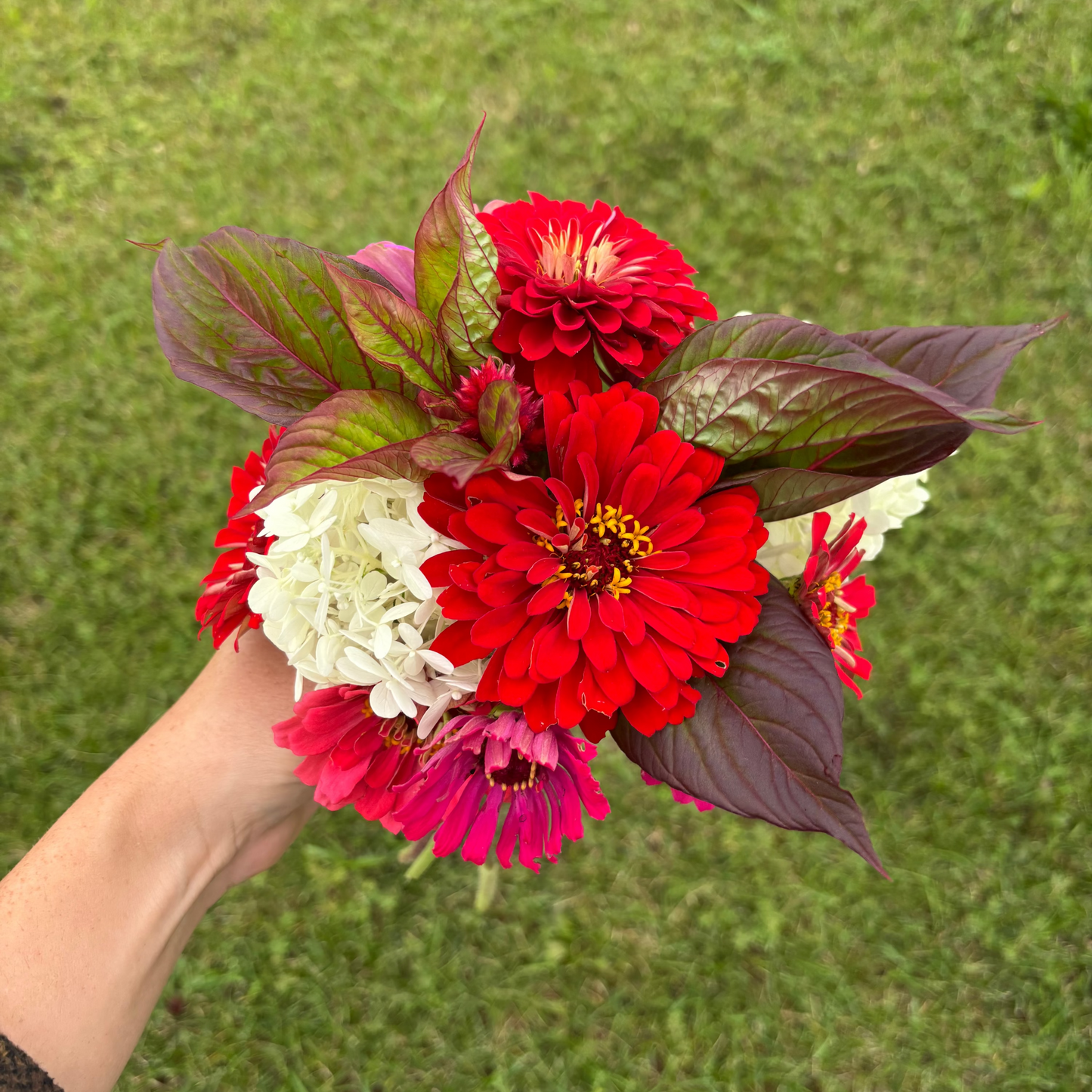 Hand holding a bouquet of red, white, and pink flowers against a grassy background
