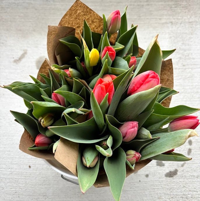 Bucket of Tulips - Rosie Days Flower Farm