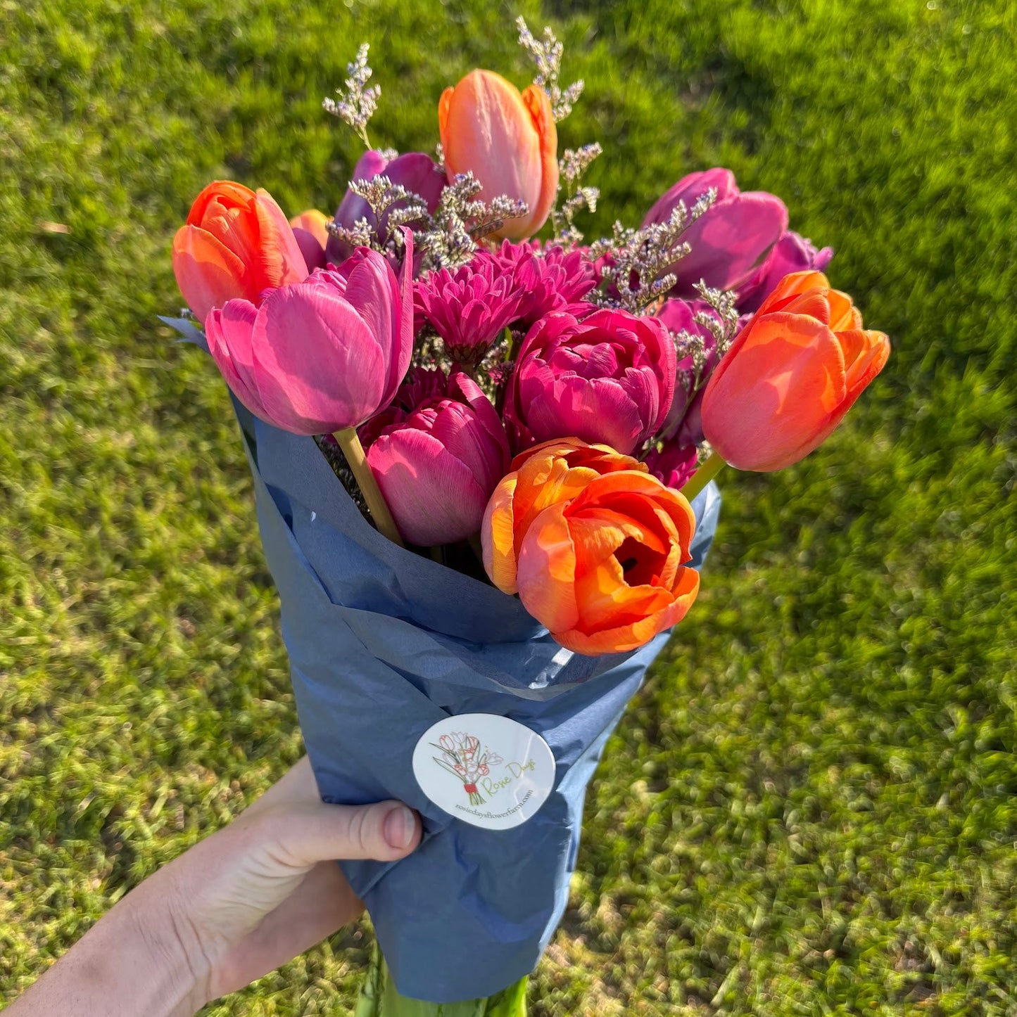 Bouquet of pink and orange tulips held in front of green grass. Flowers grown locally in Ankeny, IA at Rosie Days Flower Farm.
