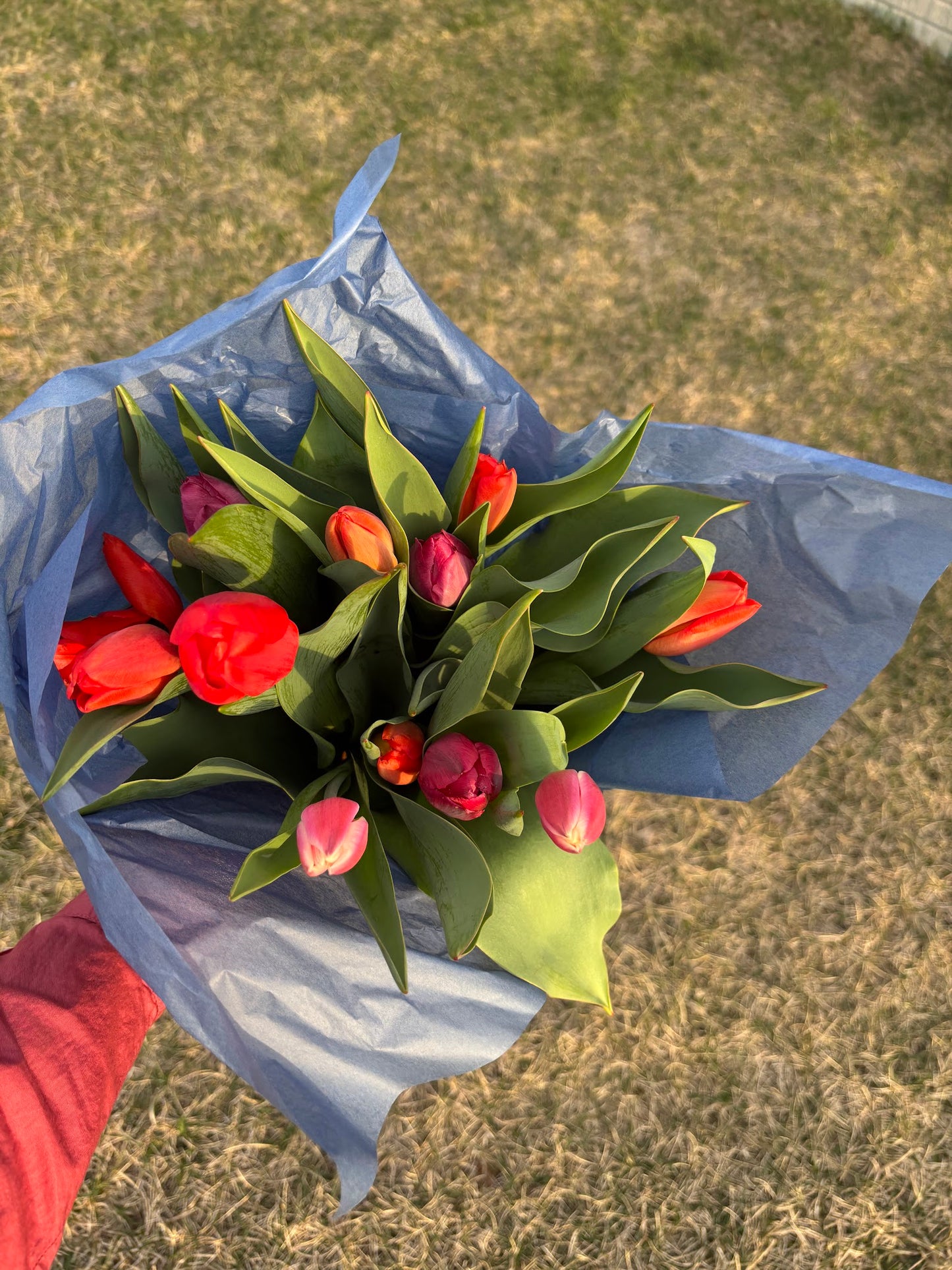 Spring Flower Bouquet Subscription (4 bouquets | April - May)