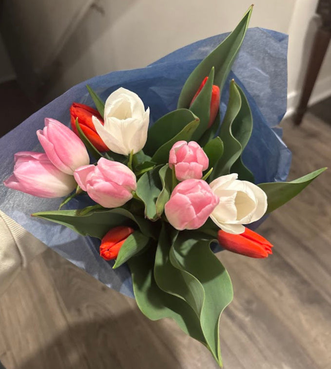 Tulip Bouquet