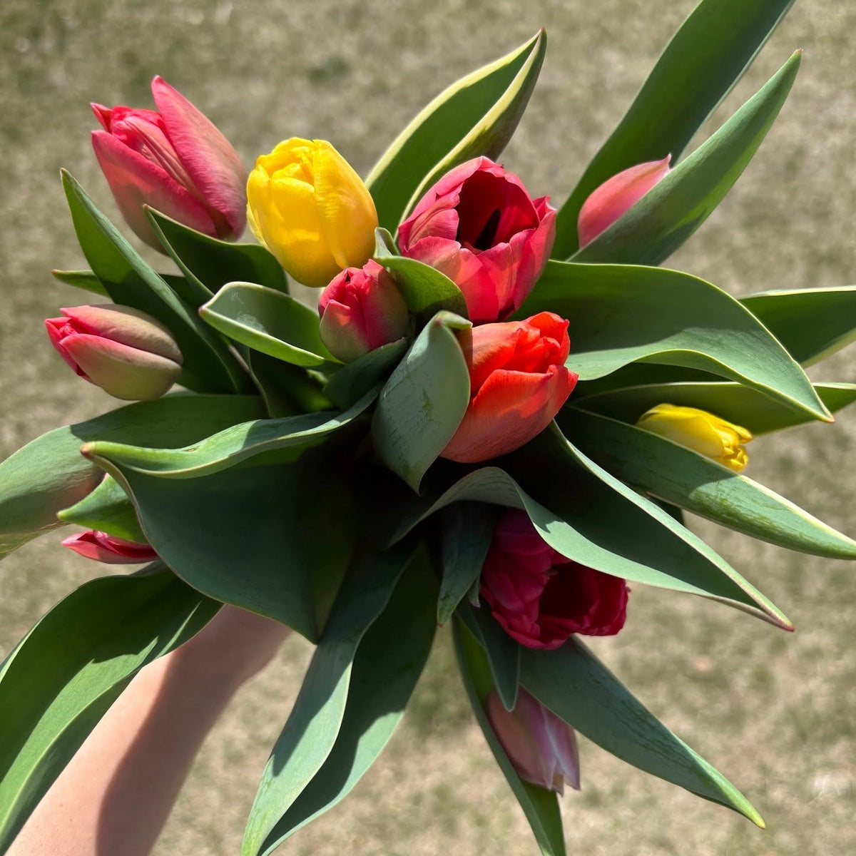 2027 Spring Flower Bouquet Subscription (4 bouquets | March - April) - Rosie Days Flower Farm