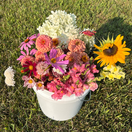 A white bucket filled with a colorful assortment of flowers, including a large yellow sunflower, pink and purple blooms, and white hydrangea-like flowers, placed on a green grass lawn. Flowers were all grown in central Iowa at Rosie Days Flower Farm.