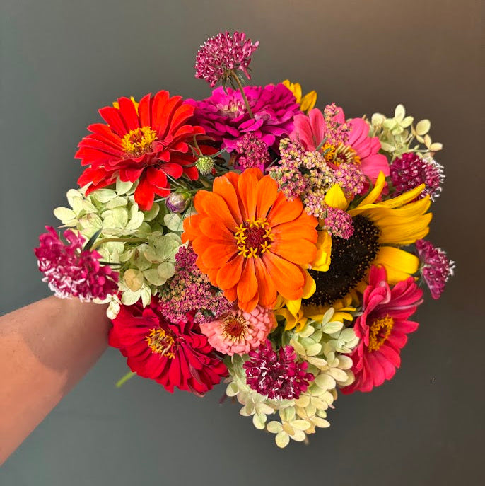 Fresh flowers grown at Rosie Days Flower Farm in Ankeny, Iowa. A hand holding a vibrant mixed flower bouquet featuring bright red, orange, pink, yellow, and white flowers against a plain dark green background.
