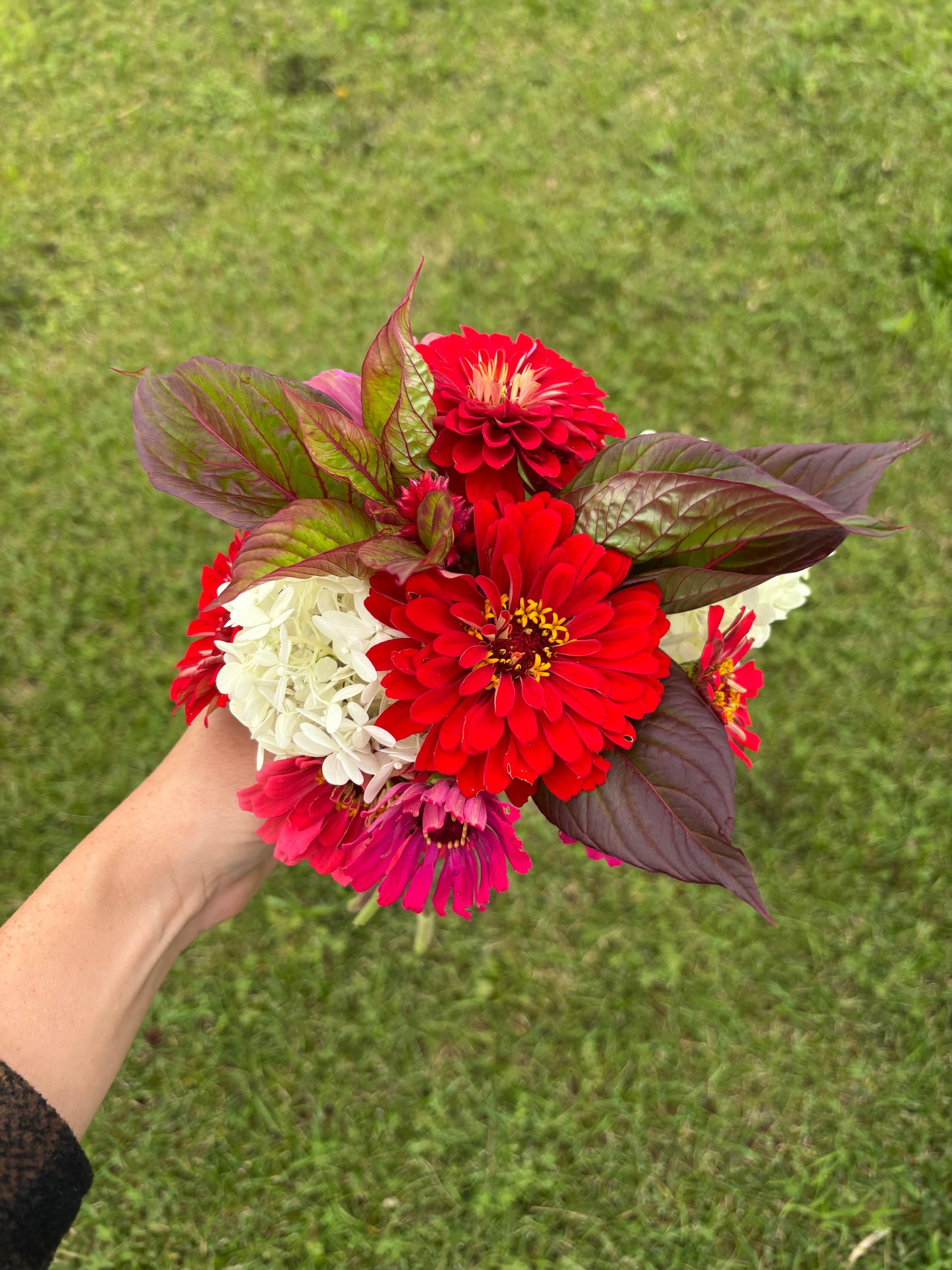Fall Flower Bouquet Subscription (4 bouquets | September - October)