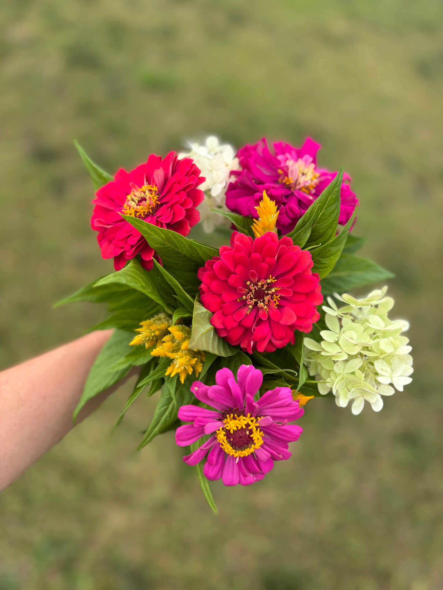 2026 Full Season Flower Bouquet Subscription (14 bouquets | April - October)