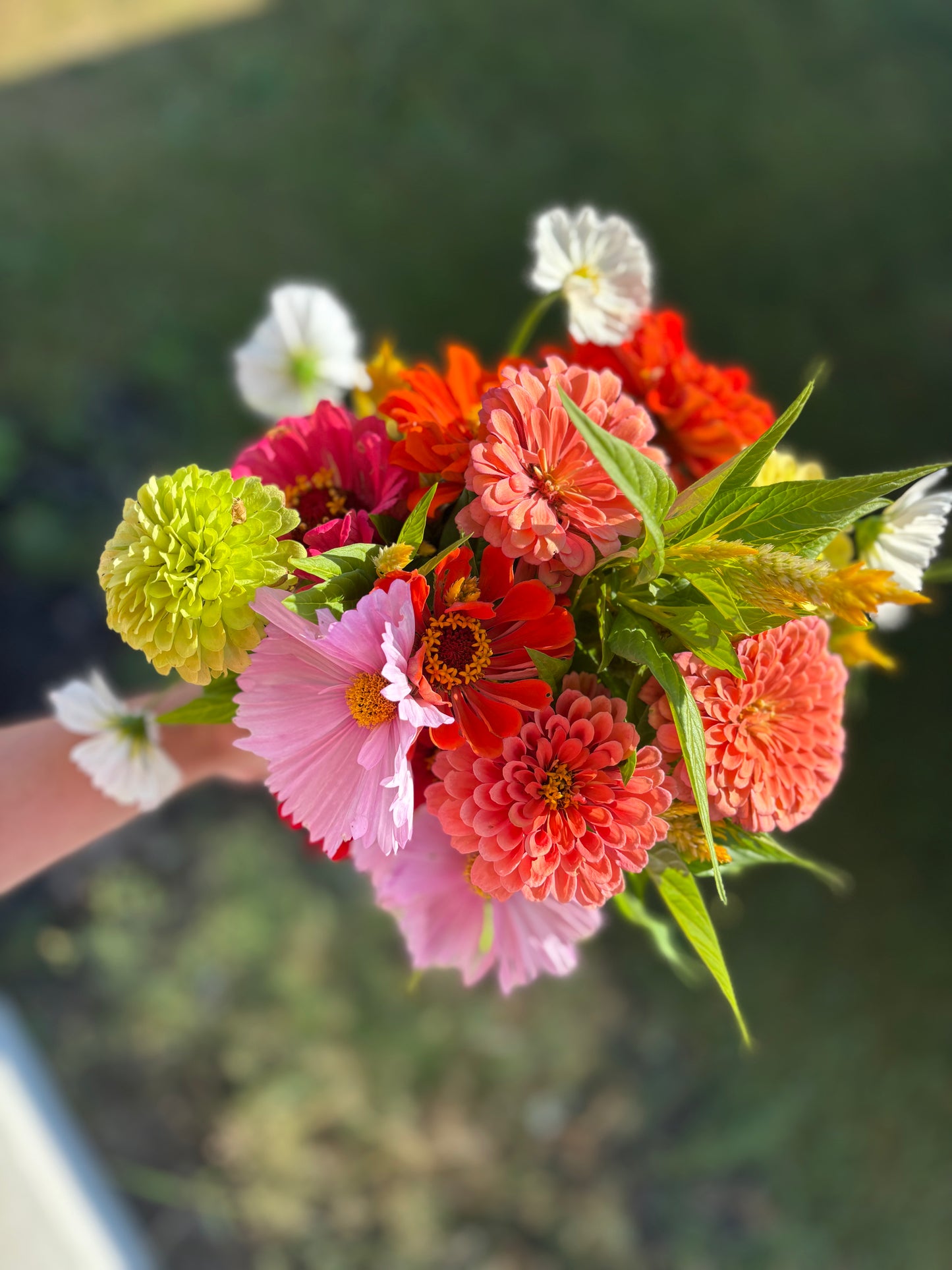 2026 Full Season Flower Bouquet Subscription (14 bouquets | April - October)