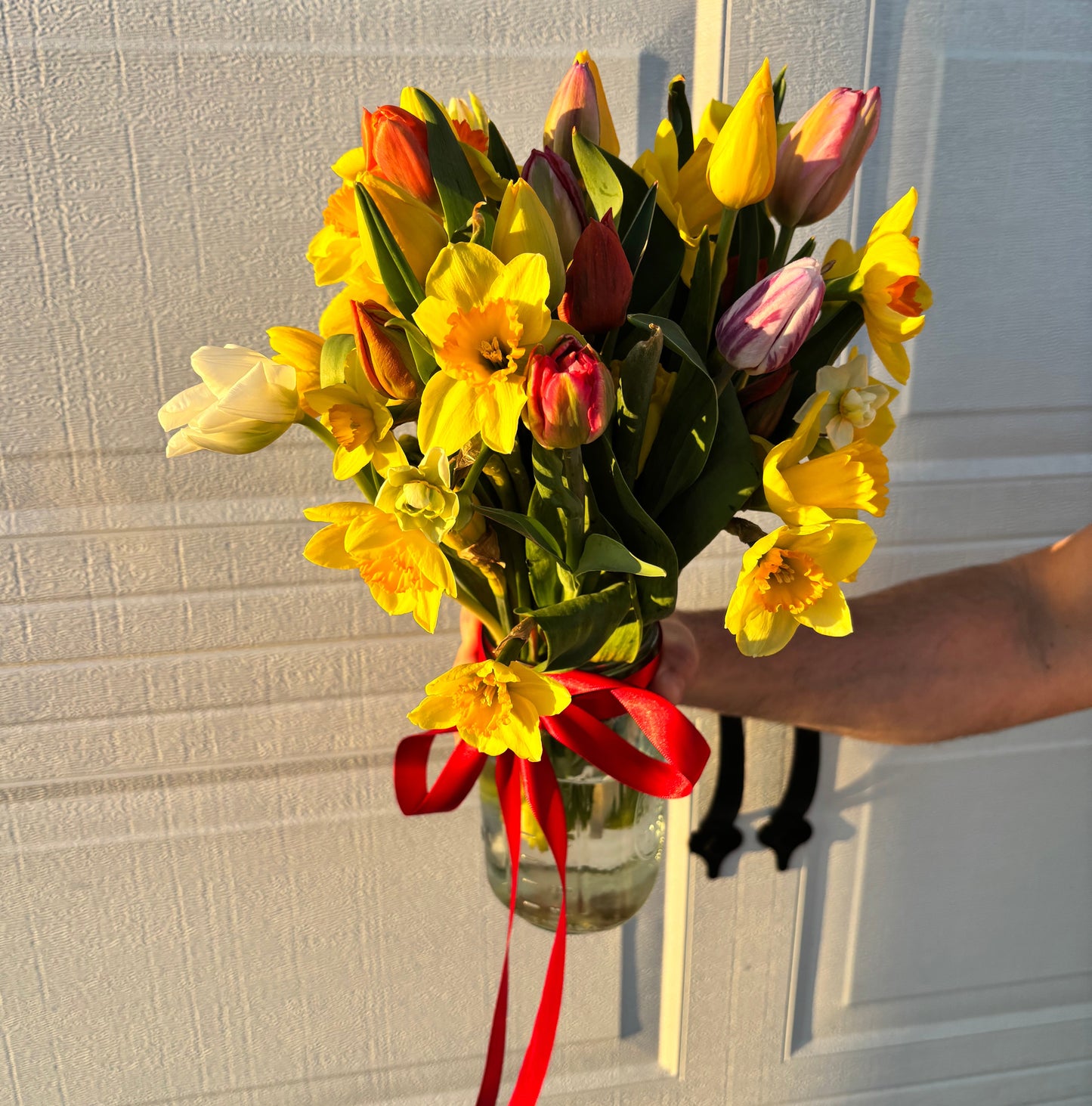 Bouquet of yellow and red flowers with a red ribbon held against a textured wall. Bouquet is filled with daffodils and tulips grown at Rosie Days Flower Farm in Ankeny, Iowa. 