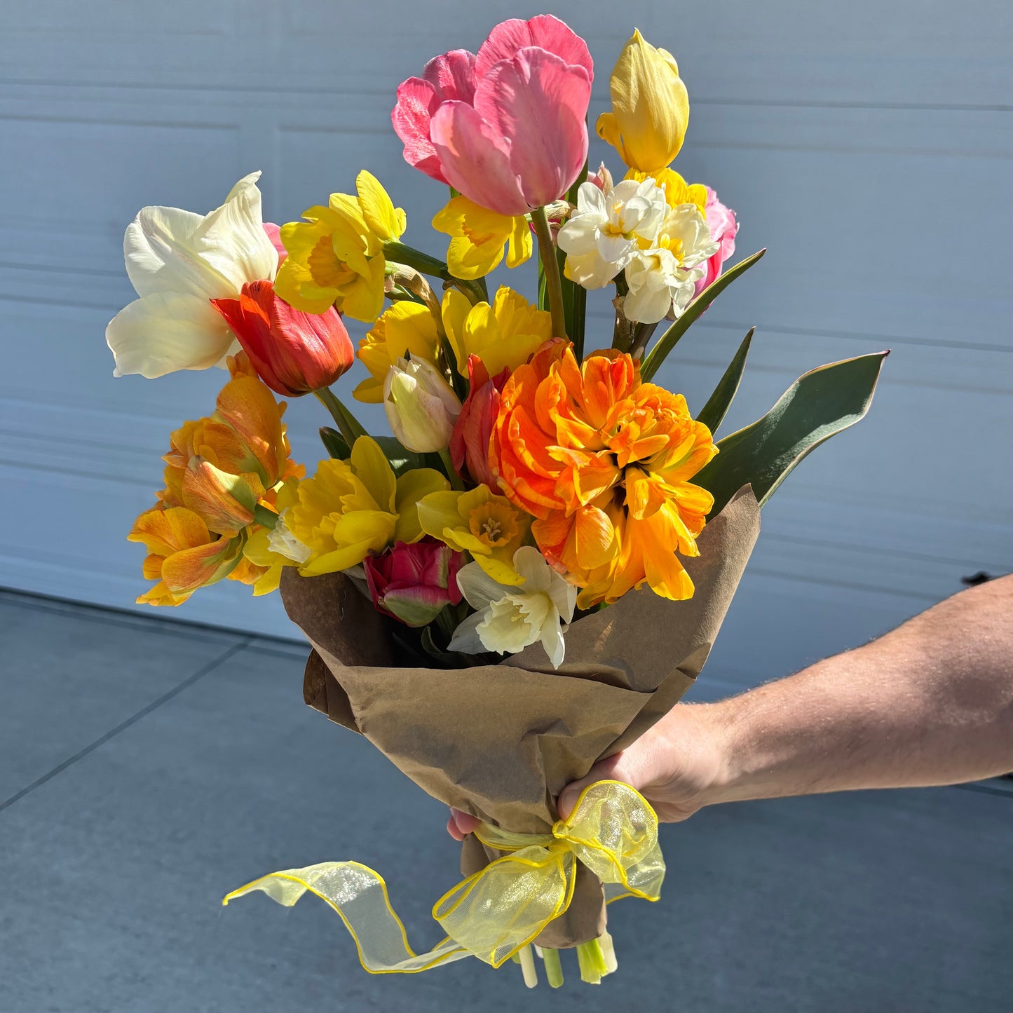 Bouquet of colorful flowers held by a person against a light blue wall. Bouquet filled with tulips and daffodils locally grown in Ankeny Iowa at Rosie Days Flower Farm. 