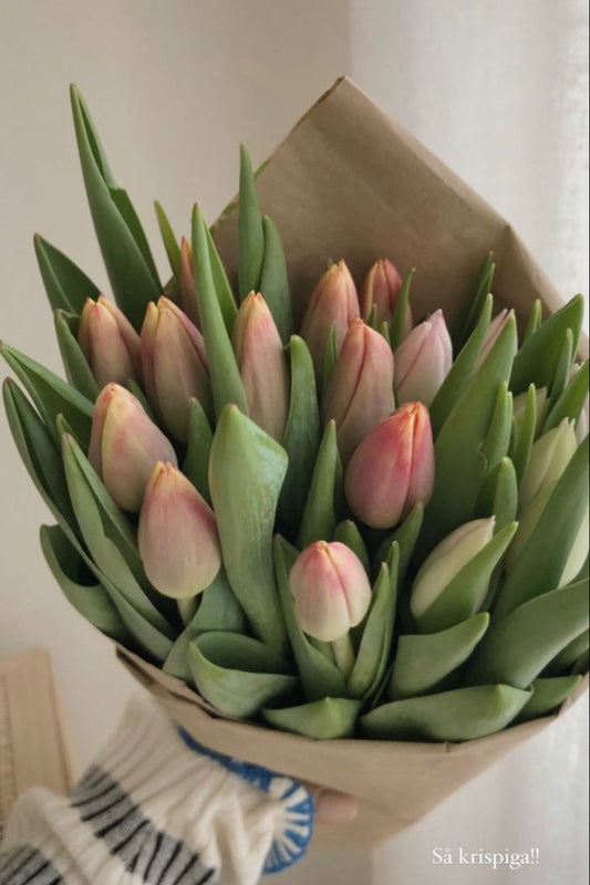 Spring Flower Bouquet Subscription (4 bouquets | April - May)