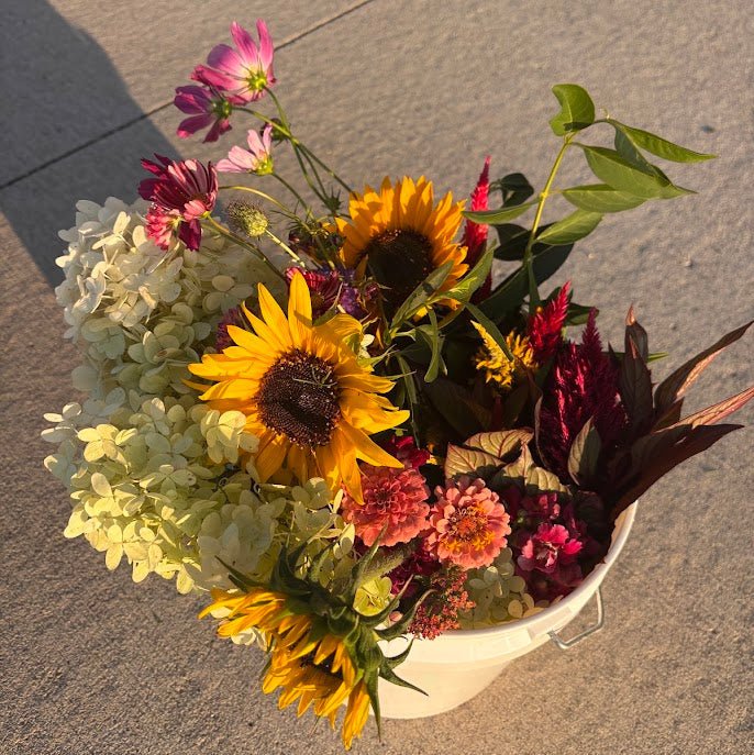 Bucket of Flowers - Rosie Days Flower Farm
