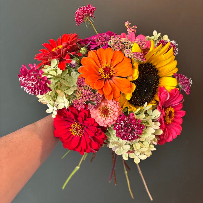 A hand holding a vibrant mixed flower bouquet featuring red and orange zinnias, a yellow sunflower, pink dahlias, and white hydrangeas against a dark green background. Flowers are grown organically in Ankeny, Iowa at Rosie Days Flower Farm.