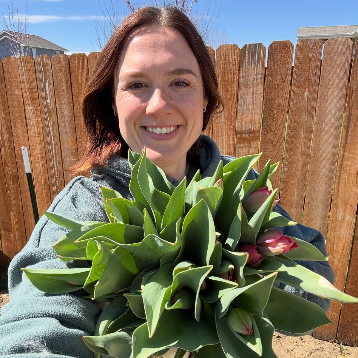 Fresh Tulip Bouquet - Rosie Days Flower Farm
