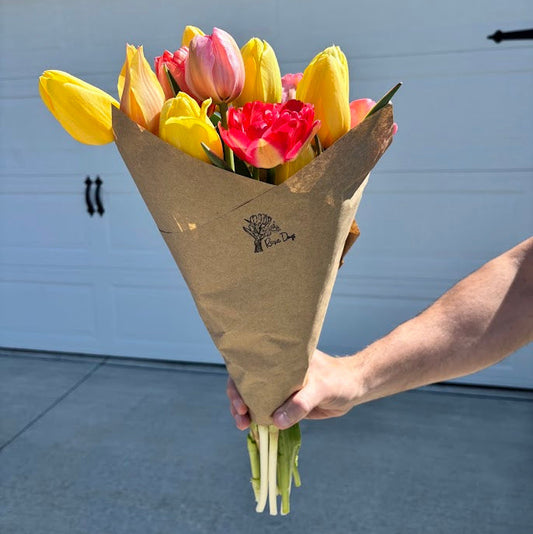 Bouquet of yellow and pink tulips in brown paper wrap held by a person in front of a garage door.  Flowers grown locally in Ankeny, IA at Rosie Days Flower Farm.
