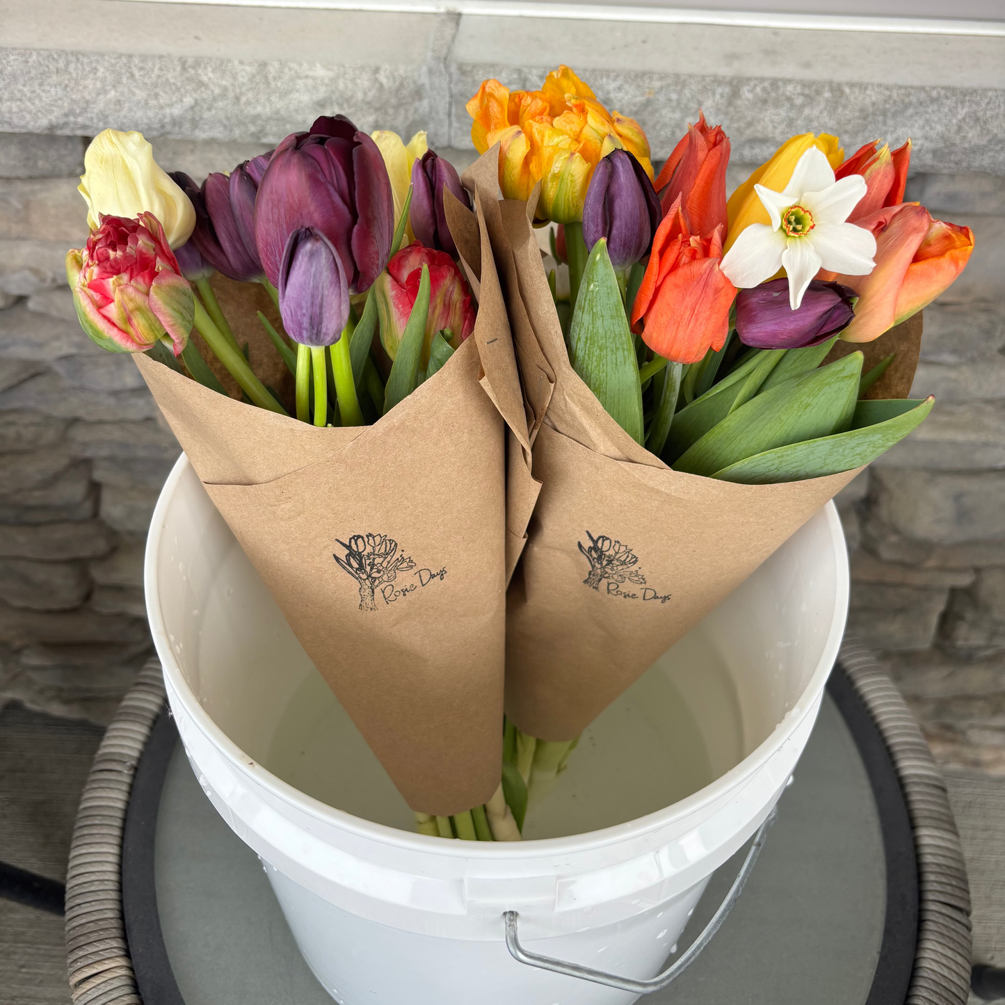 Two bouquets of colorful tulips wrapped in brown paper. Bouquets are part of the subscription through Rosie Days flower farm in ankeny, iowa